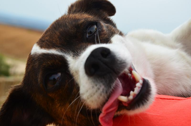 Barrancas de Burujón-2015/2025 - Toledo y sus pueblos-1996/2026 (39)