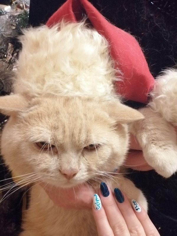 photo_2019-12-28_10-25-26 (2)