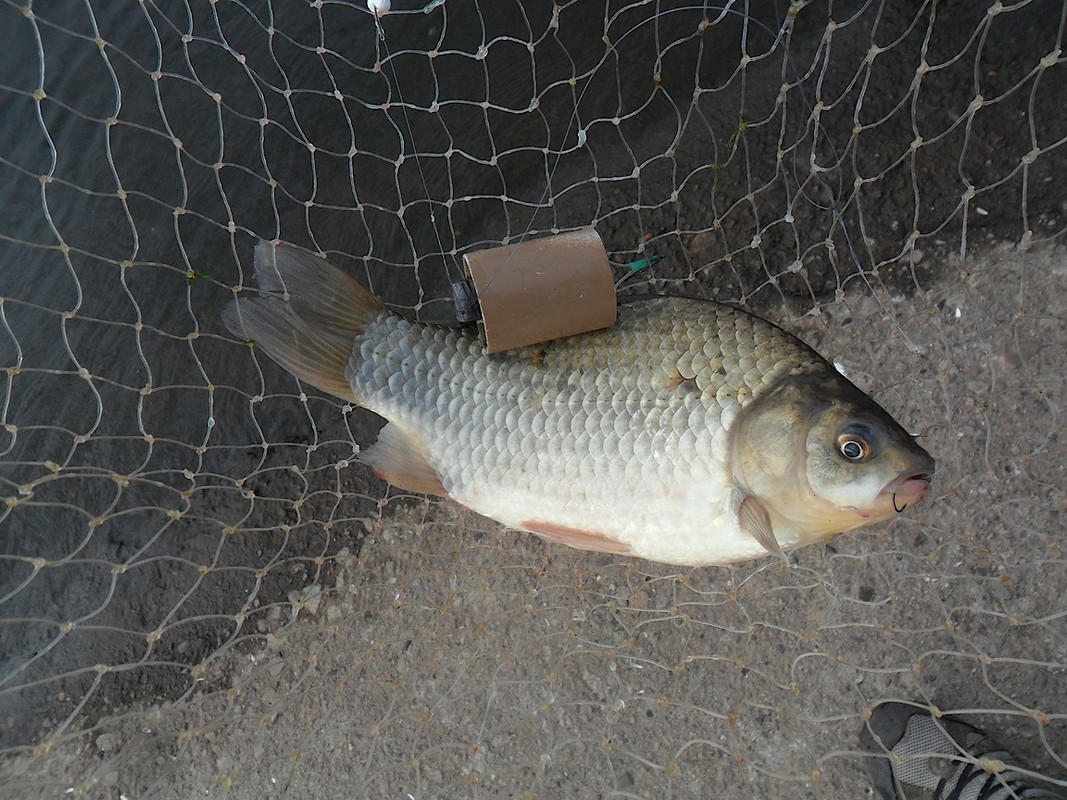 Добрянка 18.09.13 г 05