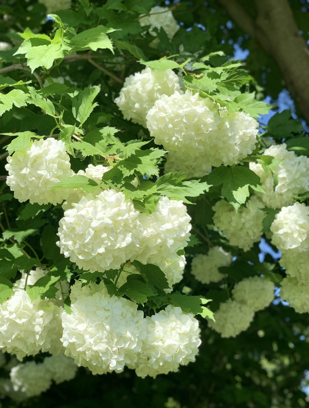 611B9894-1219-40A5-9B30-ADBE77E4B742