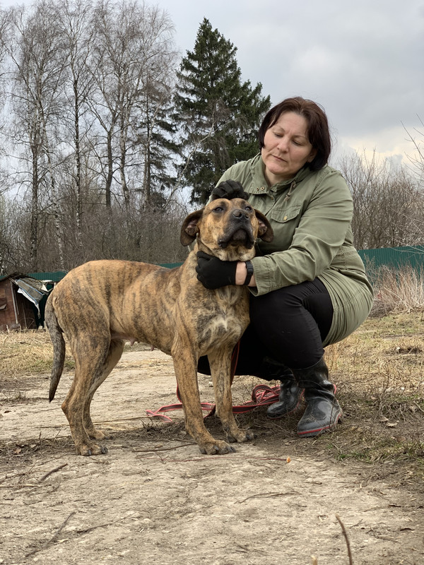 image-09-04-23-05-34-27 (1)