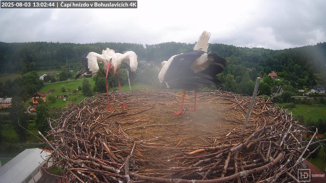 Tiešraide no KARA uzņēmuma stārķu skursteņa Bohuslavicē netālu no Trutnovas 17-44-27 screenshot