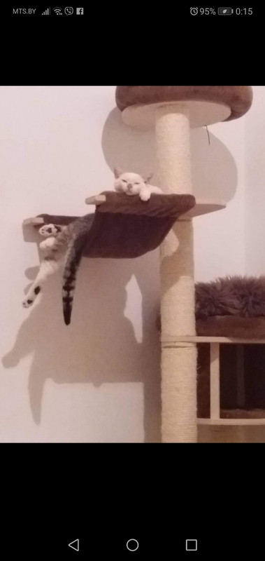 Ариэль и Джулиан2