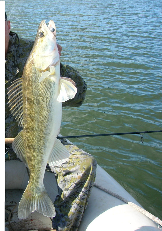 DSCN8163 - копия