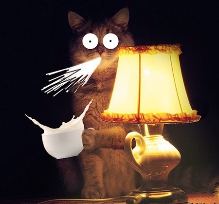 user posted image