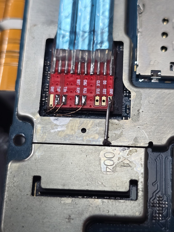 photo_2025-09-20_15-16-13