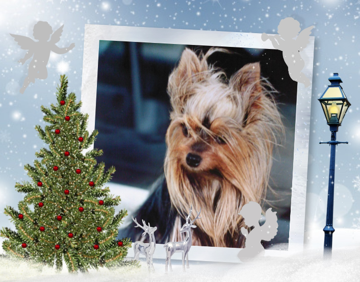 téléchargement 2020 11 06T180453 709 (4)