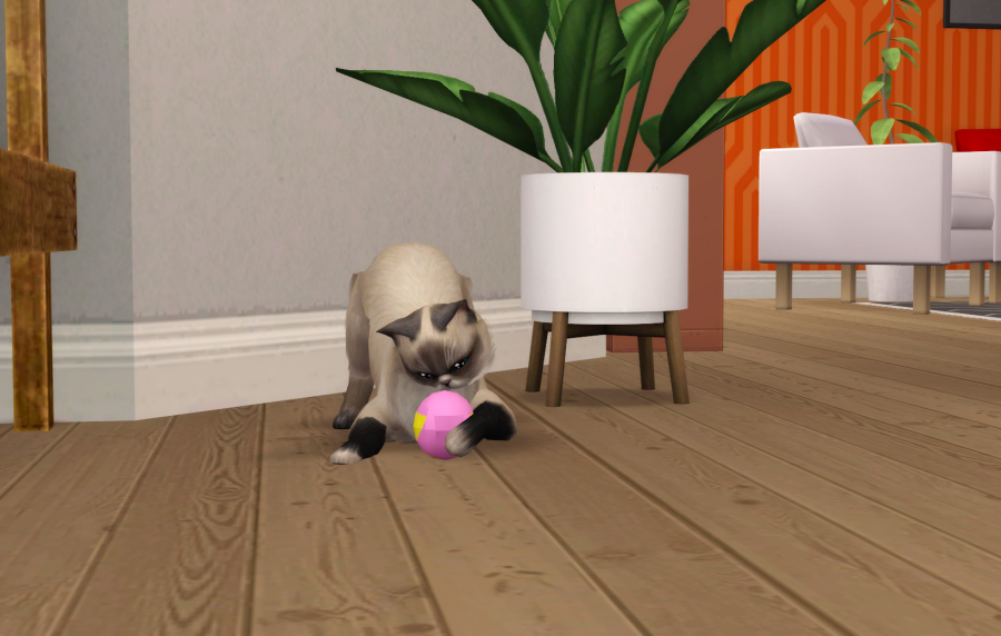 Sims2-EP9-RPC-2021-05-15-10-58-57-42