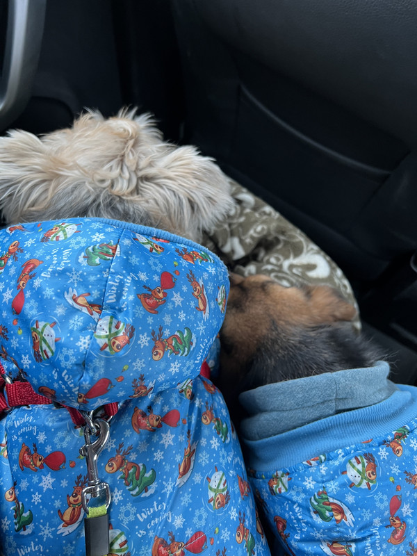 2A5206EC-A636-4A3C-89E1-CA73DD7795F0