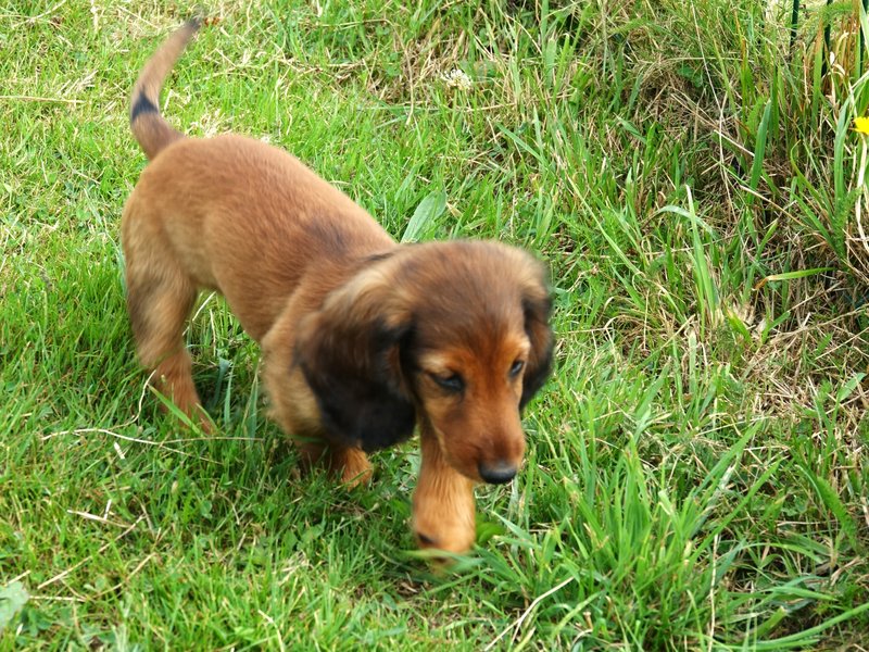 [Image: DSC00922.jpg]