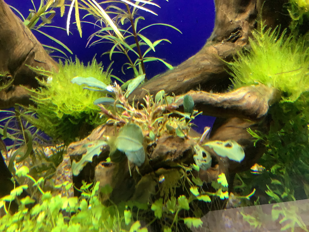 017162FC-C03A-492F-B47F-E669785FD5BA