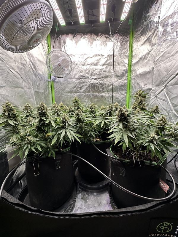 AF88D780-9A86-4021-ACDE-F624A1EE779C