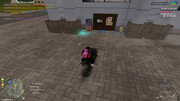 IMG-6635