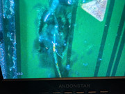 Whats App Image 2026 01 17 at 16 27 12 (2)