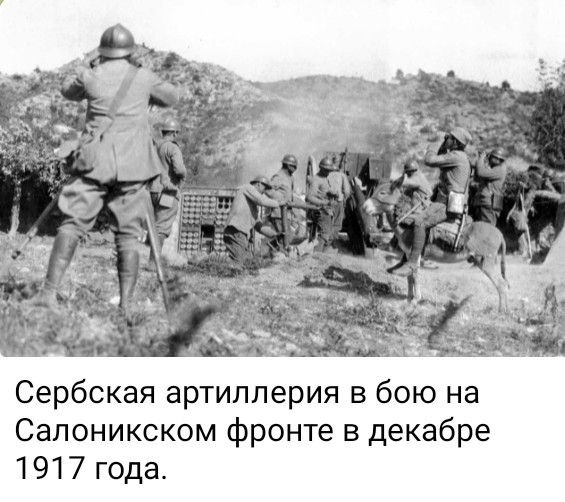 photo 2026 04 03 03 05 31