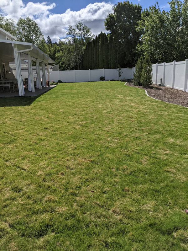 PXL_20210528_163110878