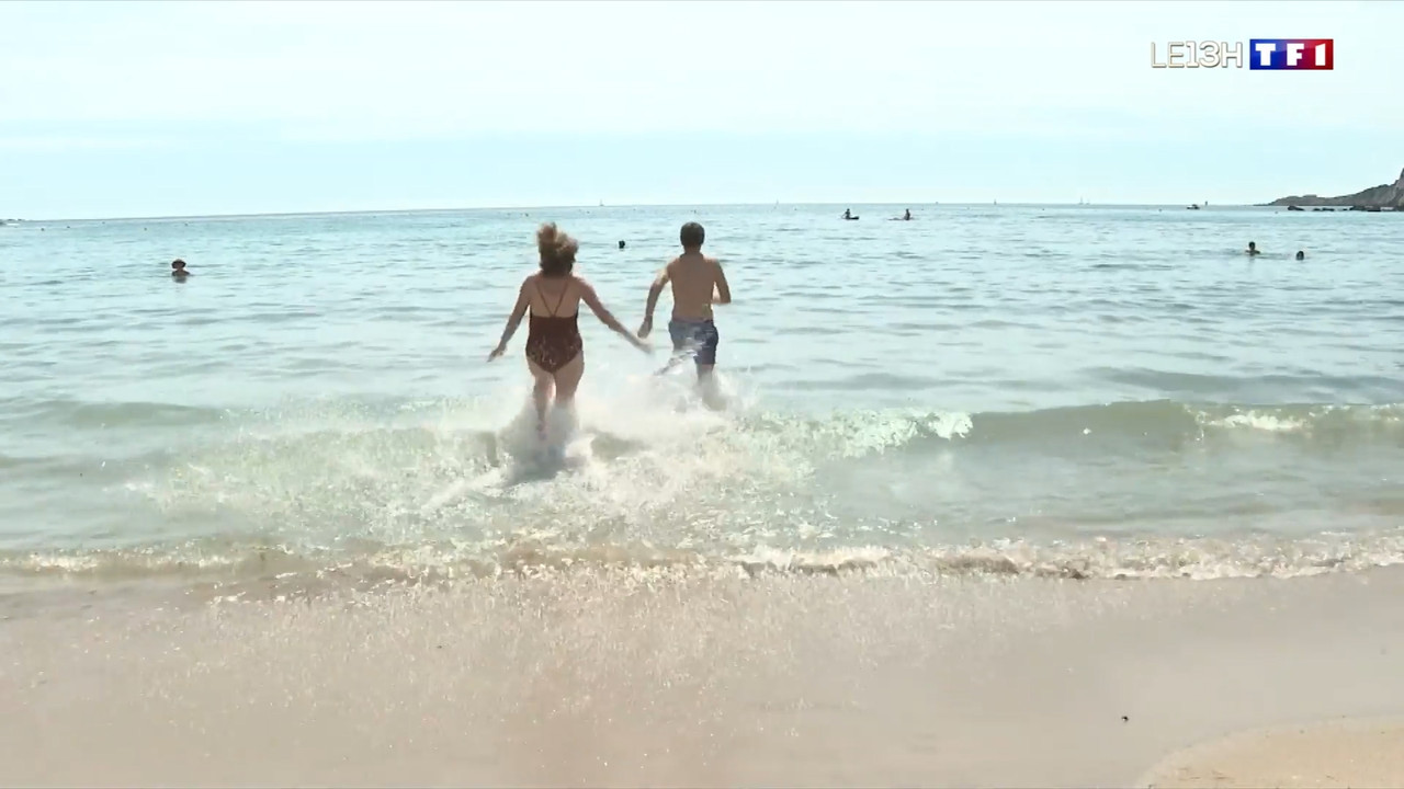 2021-06-11_13_00_TF1_Le-13h.mp4_snapshot_00.28.41.328