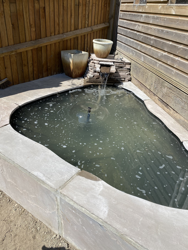 772755FA-C55D-46AD-9266-2B78B1B20413