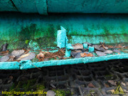 DSCN5070