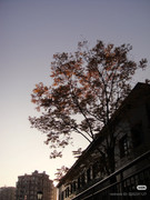 photo 3 2025 12 14 22 29 25