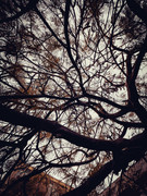 IMG-4363