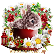 6378717687041760355103281