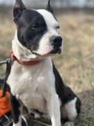 IMG_20230415_205952_372.