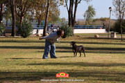 IMG-7462