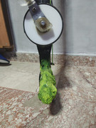 IMG 20260404 194118239 HDR