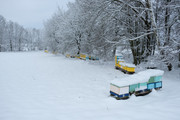 [Obrázky: DSCF0728.jpg]