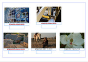 [Image: page-AP.jpg]