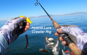 [Image: HYBRID-LURE-CRAWLER-RIG.jpg]