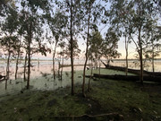 2022 (Jun) - Central (Nth) Qld Solo Trip(web) (138)