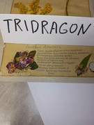 IMG_20250817_211817_151