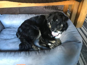 bbba176f-e013-4dfc-af8c-94153ab86526