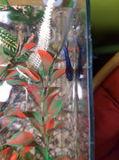 67172965_911896422493646_5442769195295047680_n