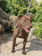 IMG_20230706_152050_368