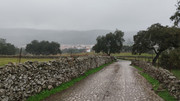 IMG-20260103-104435