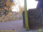IMG-0095