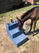 21-A40410-1-DC2-4136-AE5-E-15-D6-F9-CD75-AE