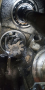 IMG-20260128-110823929.jpg