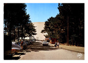 Bassin d&#039;Arcachon, Gironde, Dune de Pyla (Elcé 413)