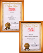 Malaysia Book of Records Achievements