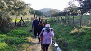 IMG-20260117-105209