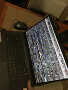 [Image: IMG-0055.jpg]