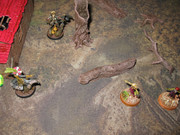 IMG-9404