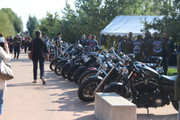 IMG-9204.jpg