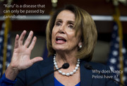 PelosiKuru