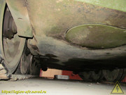 IMG-2890