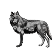 2024_07_06_0y2_Kleki